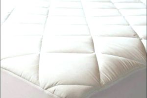 anti-bed-bug-mattress-protector-sleepsafe-premium-cover-twin-bugs-bedroom-bedrooms-awesome-300×200