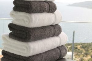 sumptuous-luxury-egyptian-cotton-towels-650gsm-p1-6348_image-300×200